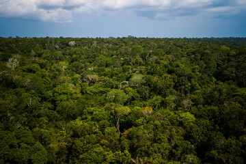 Fototapeta premium Aerial view of the Amazonia rainforest and blackwater river near Novo Airão City with flooded trees and lush tropical canopy