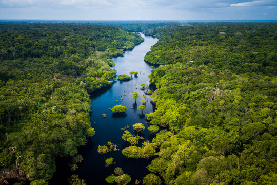 Aerial view of the Amazonia rainforest and blackwater river near Novo Air&atilde;o City with flooded trees and lush tropical canopy