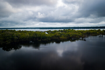 Fototapeta premium Aerial view of the Amazonia rainforest and blackwater river near Novo Airão City with flooded trees and lush tropical canopy