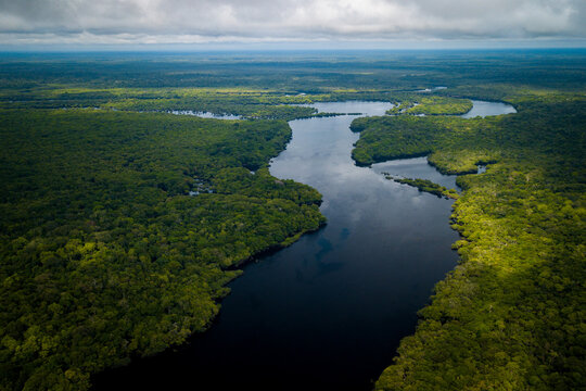 Aerial view of the Amazonia rainforest and blackwater river near Novo Air&atilde;o City with flooded trees and lush tropical canopy