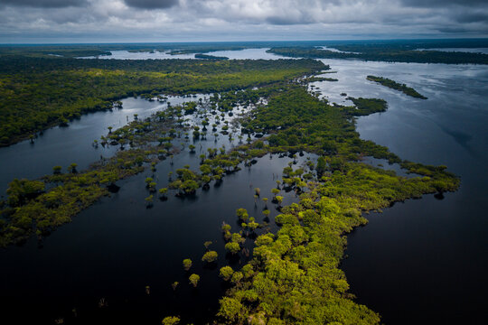 Aerial view of the Amazonia rainforest and blackwater river near Novo Air&atilde;o City with flooded trees and lush tropical canopy