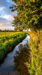 Fototapeta premium Tranquil Stream Surrounded by Lush Greenery Under a Bright Sky