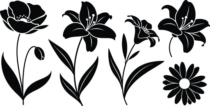 Black silhouette floral collection with poppy lily and daisy flower