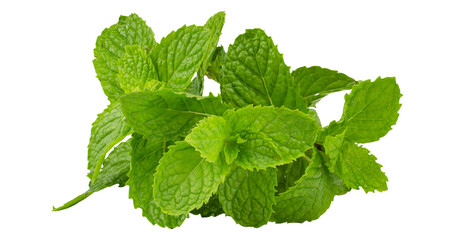 Mint leaves on transparent png © MARUF Ahmed