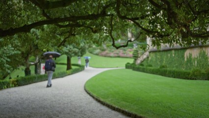 Obraz premium Defocused garden path with overhanging tree canopy, trimmed hedges and curved lawn in soft blur; background backplate copyspace calm.