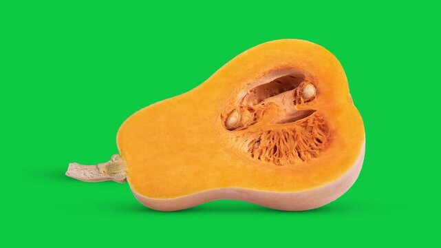 Butternut isolated on green sreen