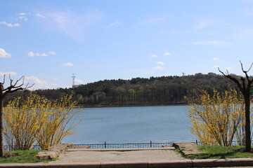 Fototapeta premium Central park in the spring