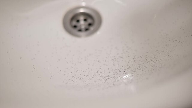 Close-up of black short hair stubble falling into sink during shaving, selective focus