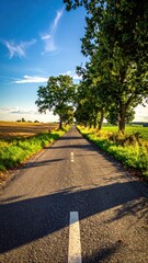 Fototapeta premium Scenic Country Road Surrounded by Lush Green Trees and Fields