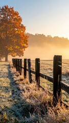 Obraz premium Misty Morning Scene with Autumn Tree and Wooden Fence in Sunrise