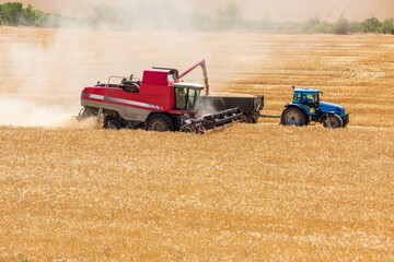 Fototapeta premium Combine Harvester and Tractor with Trailer Cutting Barley in a Dusty Field
