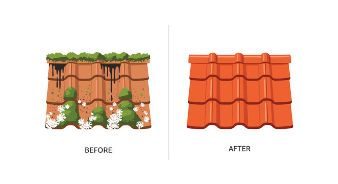 A side by side comparison illustrates the dramatic transformation of a dirty terracotta roof from a mossy state to a perfectly clean and vibrant orange.