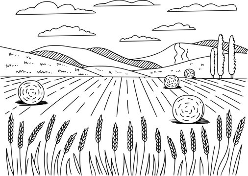 Hand drawn of a rural landscape with rolling hills wheat field and hay bales