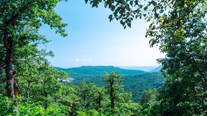 Fototapeta premium panorama view of the landscape of the mountains and the forest