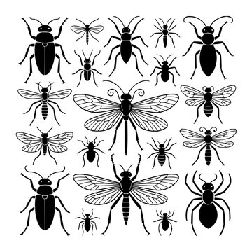 Insects beetles flies spiders black vector illustration bugs creepy crawlies arthropods