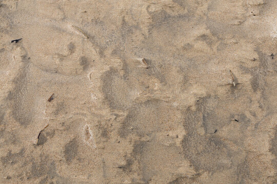 Fine sand from the Baltic Sea