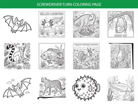 Screwdriver turn coloring page vector set with bat lungfish dinosaur lemur fish prairie chicken cheetah and pufferfish