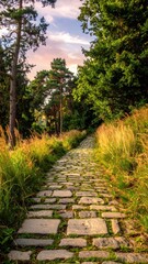 Fototapeta premium Tranquil Stone Pathway Through Lush Green Forest and Trees
