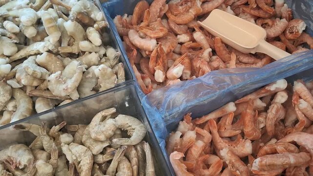 Close-up of frozen king and tiger prawns in a freezer display at  supermarket. Mix of grey raw and pink cooked crustaceans represents fresh seafood supply and healthy protein sources