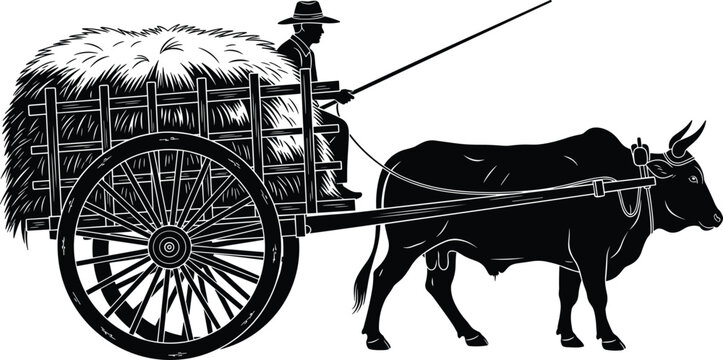 Farmer riding bullock cart carrying hay silhouette illustration, traditional agriculture transport, rural village life, ox driven wagon, farming lifestyle, countryside work scene