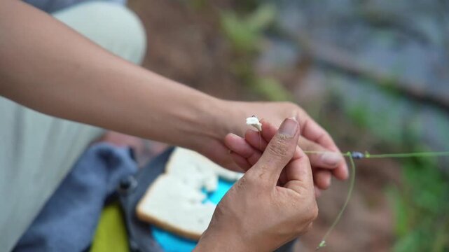 Molding fishing bait for fishing.