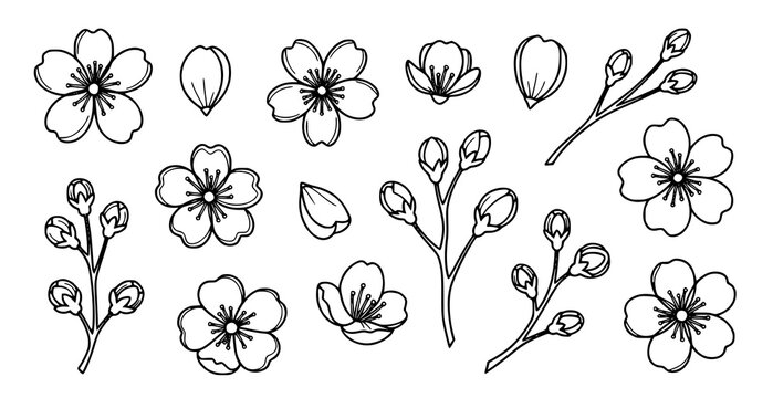 Minimal sakura flower elements set with cherry blossom line art for logo icon and floral design vector