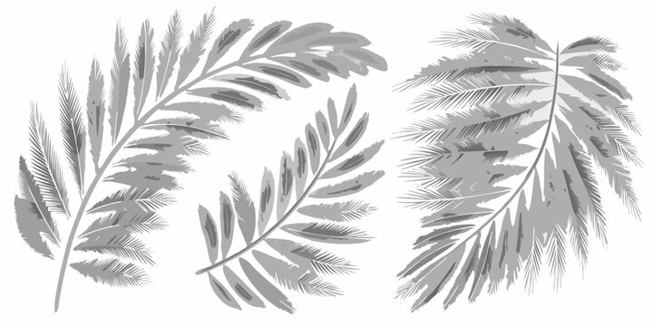 Elegant tropical leaves in grayscale create a botanical arrangement