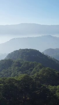 Lush green mountains covered in pine trees with layers of mist and soft morning light, captured near Bontoc and Sagada in the Philippines.