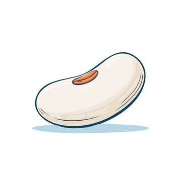 Single white kidney bean with a brown eye illustrated in a simple cartoon style.