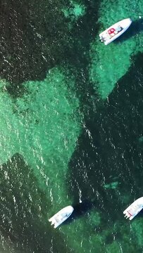 Top-down aerial view of boats floating on clear turquoise waters near Plage du Petit Sperone, Corsica. The vibrant sea contrasts with patches of dark seaweed below the surface.