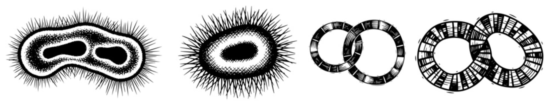 Vintage hand drawn illustration of different bacteria and microorganisms in woodcut style