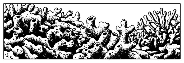 Detailed hand drawn sketch of tropical coral reef and underwater sponges in vintage stipple style © Mago