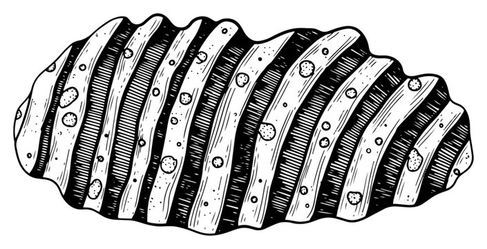 Abstract vintage engraving of a textured organic stone or fossil with striped patterns and pockmarks