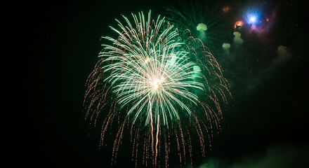 Fototapeta premium Image of green and gold firework on night sky, representing celebration, festive moment, or visual spectacle, suitable for party or holiday concepts