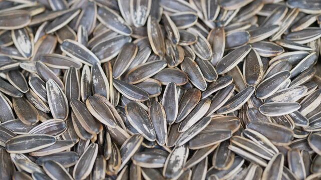 Close up sunflower seeds pile showing textured shells and striped patterns, earthy gray tones, macro focus on kernel edges and surface detail for natural snack or seedstock visuals