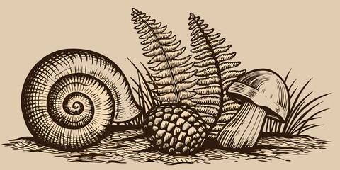 Vintage botanical illustration featuring a snail fern mushroom and pinecone © Sudebi