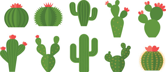 Set of various blooming cactus vector illustrations with pink flowers desert plants succulents prickly pear saguaro isolated on white background for nature design elements © Sonaton