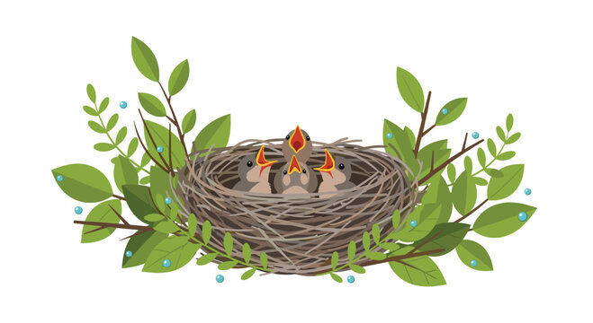 Four hungry grey bird chicks with wide open orange beaks wait expectantly for food inside a meticulously woven twig nest surrounded by lush green foliage.