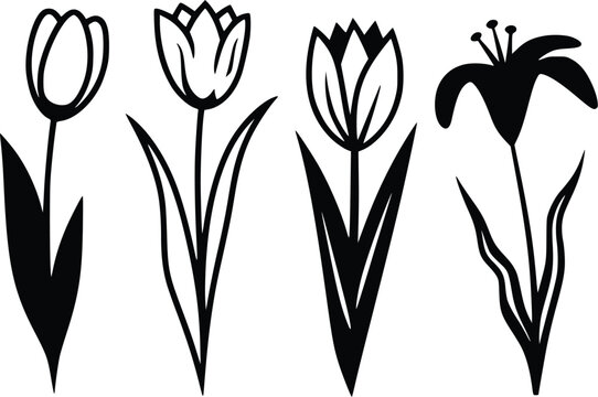 Black Silhouette Tulip and Lily Flower Vector Illustration