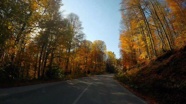 POV driving slowly along an empty winding dirt road through vibrant autumn forest with colorful deciduous trees and brilliant fall foliage at Yedigoller National Park, Bolu, Turkey