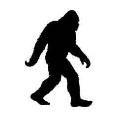 Silhouette of a walking Bigfoot, mythical Sasquatch or Yeti creature vector illustration © ZamStock
