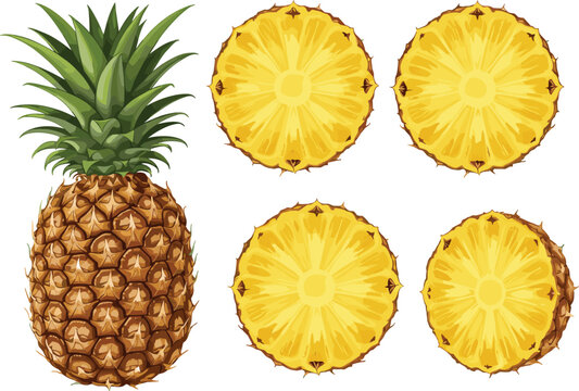 Tropical Pineapple Vector Set with Whole Fruit and Cross Section Slices for Summer Food Packaging Exotic Fruit Branding and Island Nature Designs