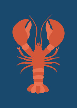 Nautical Coastal Poster with Lobster Flat Design Vector Illustration
