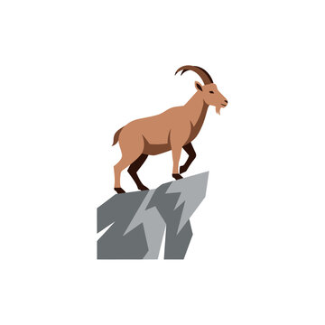Brown goat standing on a rock.