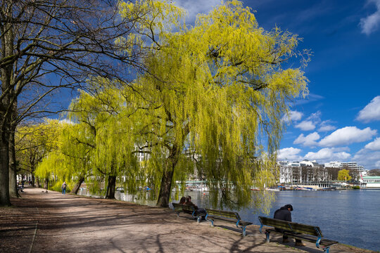 Frisches Alster Gr&uuml;n Hamburg Rotherbaum