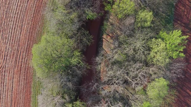 Top down aerial drone shot of a red dirt creek dividing farmland fields with overhanging trees in early spring rural Oklahoma landscape.