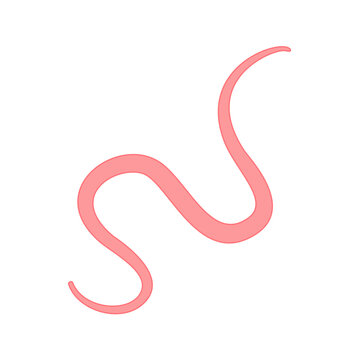 Tapeworm Cartoon Illustration in Flat Vector Style, Parasite Worm for Medical, Biology and Educational Design