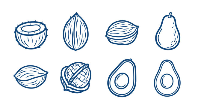 Collection of healthy fruits and nuts in a simple line art style