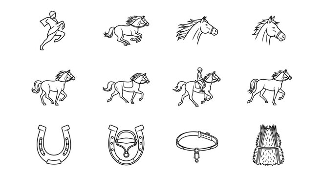 Collection of horse illustrations and equestrian equipment icons in a clean line art style