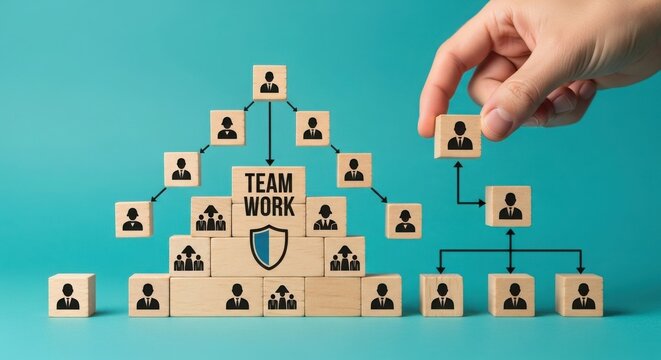 Collaboration and hierarchy within a team structure for effective teamwork